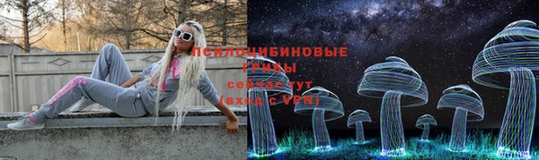соль ск Верхний Тагил