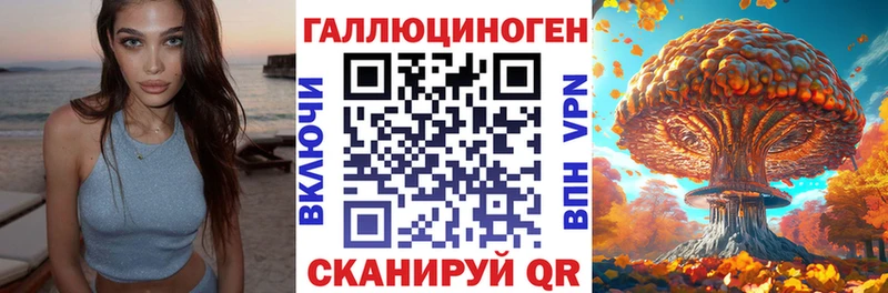 Псилоцибиновые грибы Psilocybine cubensis  Выборг 